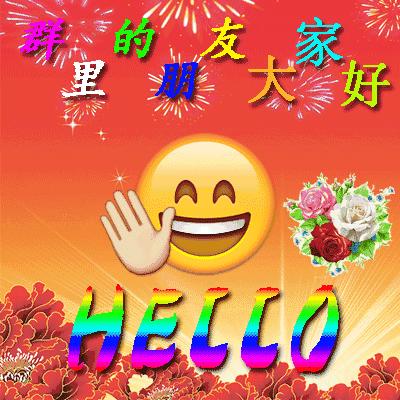 自动整理聊天列表技巧，高效便捷的信息管理之道