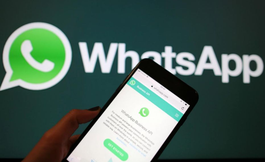 WhatsApp网页登录入口，文件批量下载功能全新上线